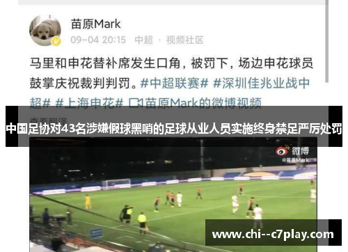 中国足协对43名涉嫌假球黑哨的足球从业人员实施终身禁足严厉处罚 中国足协对43名涉嫌假球黑哨的足球从业人员实施终身禁足严厉处罚