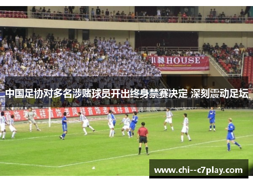 中国足协对多名涉赌球员开出终身禁赛决定 深刻震动足坛 中国足协对多名涉赌球员开出终身禁赛决定 深刻震动足坛