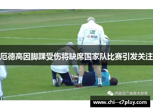 厄德高因脚踝受伤将缺席国家队比赛引发关注