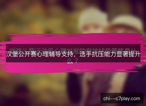 汉堡公开赛心理辅导支持，选手抗压能力显著提升
